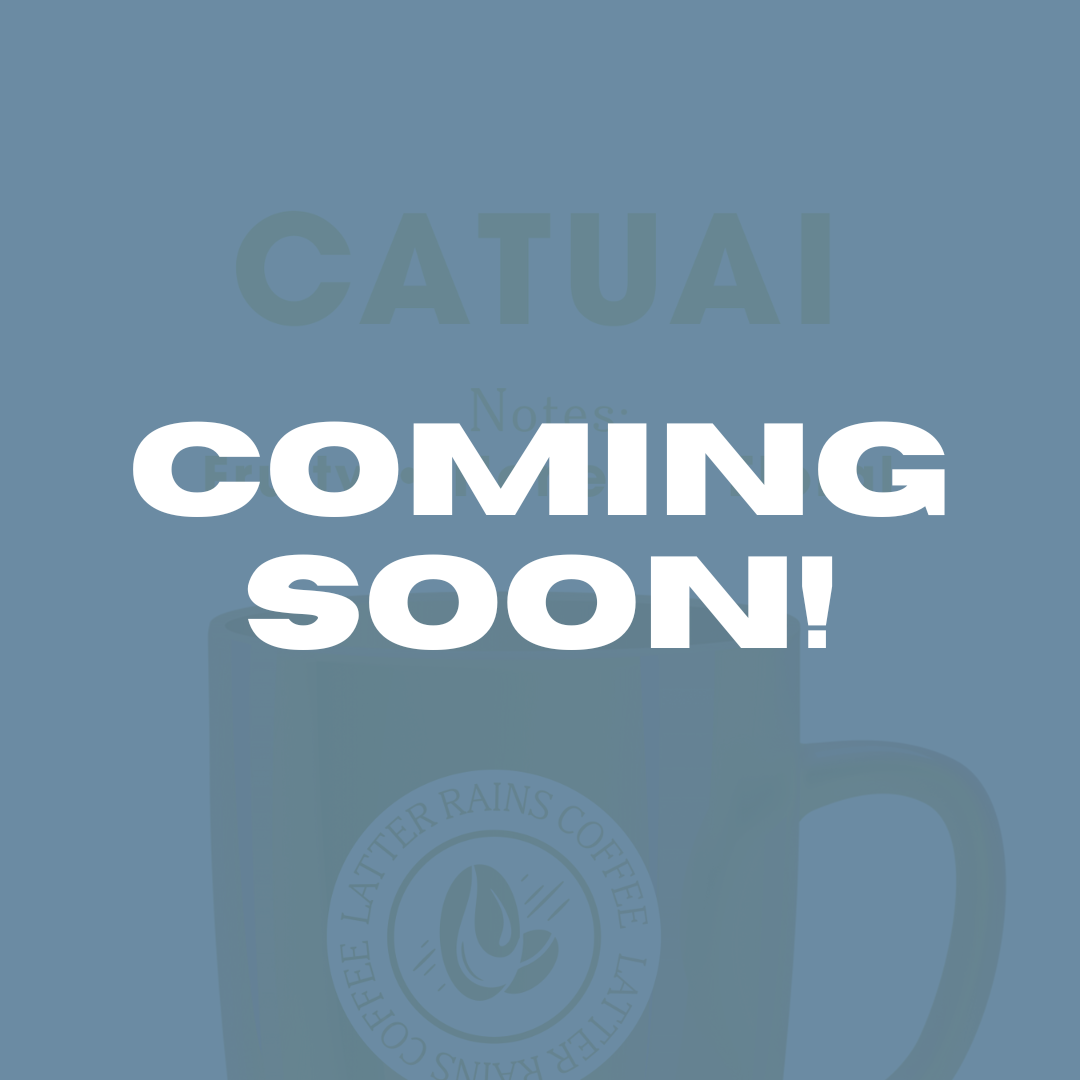 Catuai