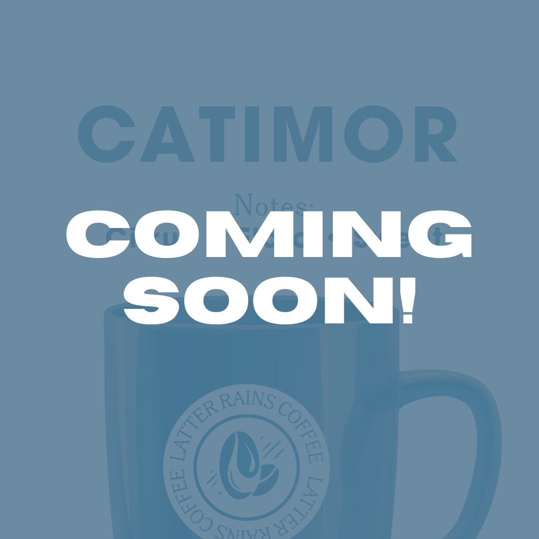 Catimor