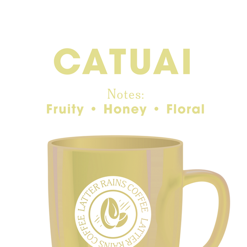 Catuai