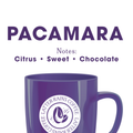 Pacamara